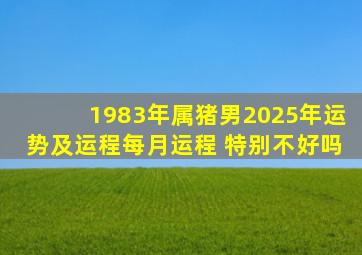 1983年属猪男2025年运势及运程每月运程 特别不好吗